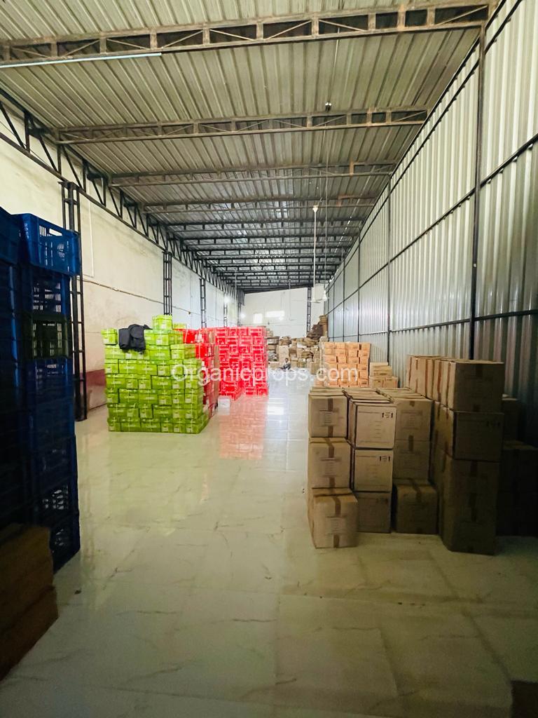 WhatsApp Image 2022-12-30 at 1220221230135333334.jpeg